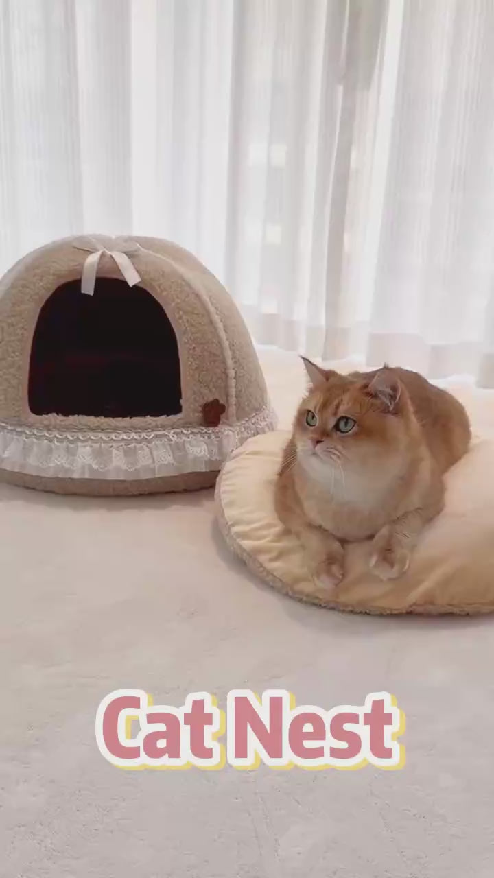 MADMAD -Cave For The Cat